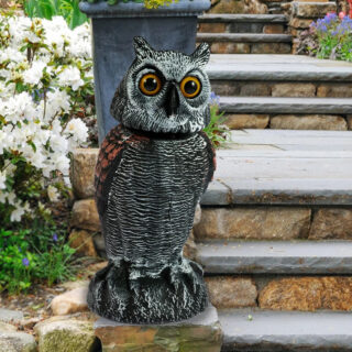 On voit une statue de hibou dans des escaliers extérieurs.